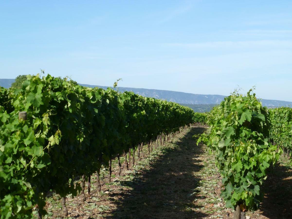 Luberon & Lavandes Roussillon (Vaucluse) Exterior foto